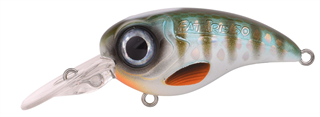 0001_Spro_Fat_Iris_50_CR_[Herring].jpg